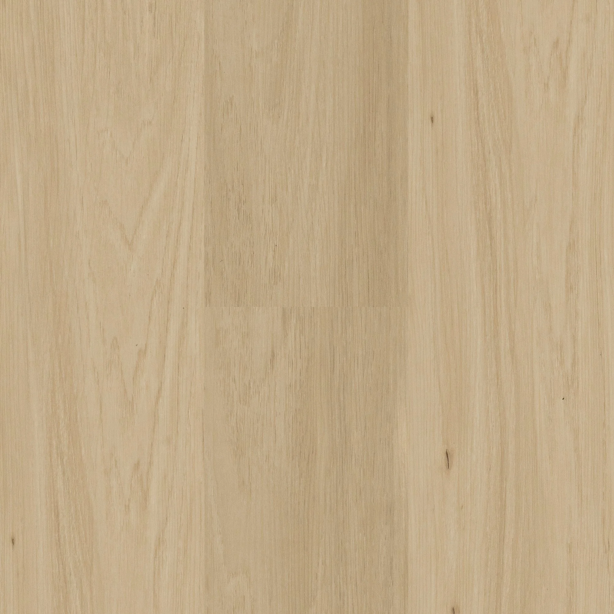 StoneCast - Amazing USA — Next Floor®